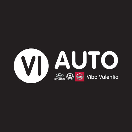 VI. Auto Concessionaria